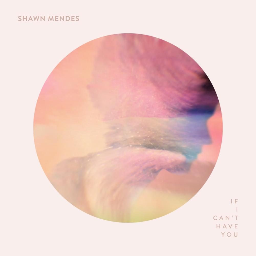 ترجمه آهنگ If I Cant Have You از Shawn Mendes ترجمه آهنگ If I Cant Have You از Shawn Mendes