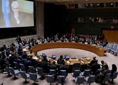 تونس، درخواست قیس سعید برای تصویب قطعنامه ای در شورای امنیت درباره کرونا