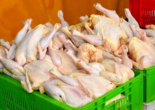 قیمت مرغ تازه چند؟ قیمت مرغ تازه چند؟