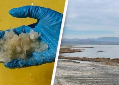 گنج 540 میلیارد دلاری، در عمق دریاچه پیدا شد، عکس